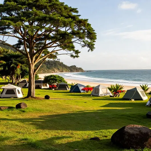 Camping Clube do Brasil: O Destino Perfeito para Natureza e Aventura