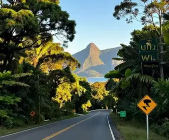 Como Chegar à Bertioga pela Rodovia Mogi-Bertioga