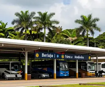 Como Chegar e Utilizar o Terminal Rodoviário de Bertioga