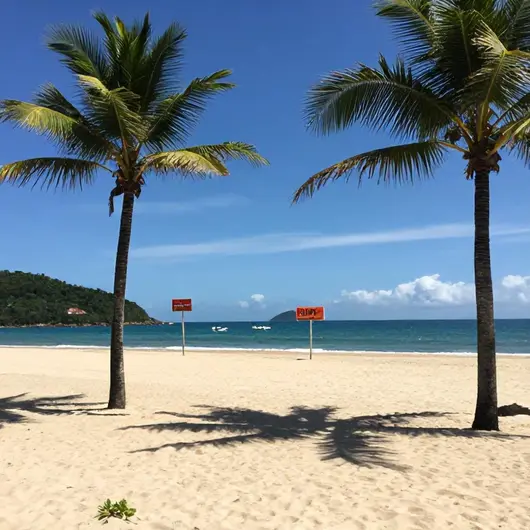 Descubra a Praia Bertioga