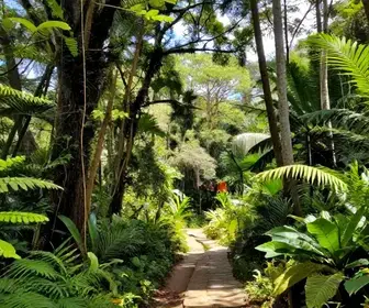 Descubra a Reserva Natural Sesc Bertioga: Um Refúgio de Biodiversidade