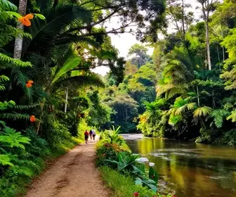 Descubra a Trilha d'Água: Natureza e Aventura em Bertioga