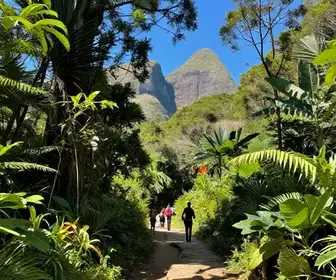 Descubra a Trilha da Torre 47 em Bertioga: Um Caminho para a Aventura Descubra a Trilha da Torre 47 em Bertioga: Um Caminho para a Aventura