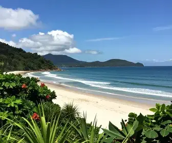 Descubra as Belezas do Litoral Norte de São Paulo: Bertioga em Destaque