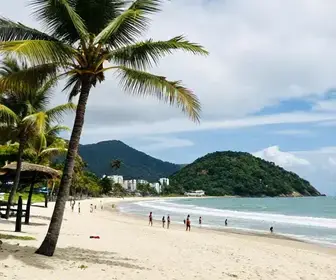 Descubra Boracéia: Um Paradiso em Bertioga - SP