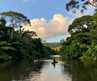 Descubra o Rio Itaguaré: A Joia Natural de Bertioga