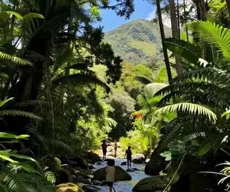 Explorando o Ribeirão dos Monos: Uma Aventura em Bertioga