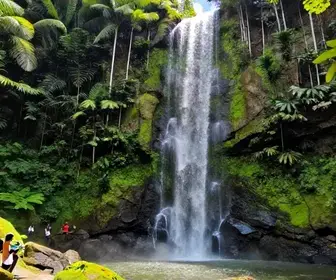 Explore a Cachoeira do Elefante: Um Refúgio Natural em Bertioga