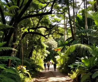 Explore a Trilha de São Lourenço em Bertioga: Uma Aventura na Natureza