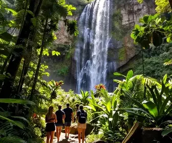 Explore as Melhores Trilhas com Cachoeira em Bertioga - SP