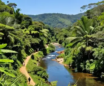 Explore o Complexo do Rio Itapanhaú: Atrações e Trilhas em Bertioga - SP