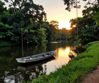 Guia Completo de Pesca nos Rios de Bertioga