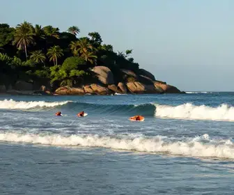 Surfando em Bertioga: Onde Encontrar as Melhores Ondas